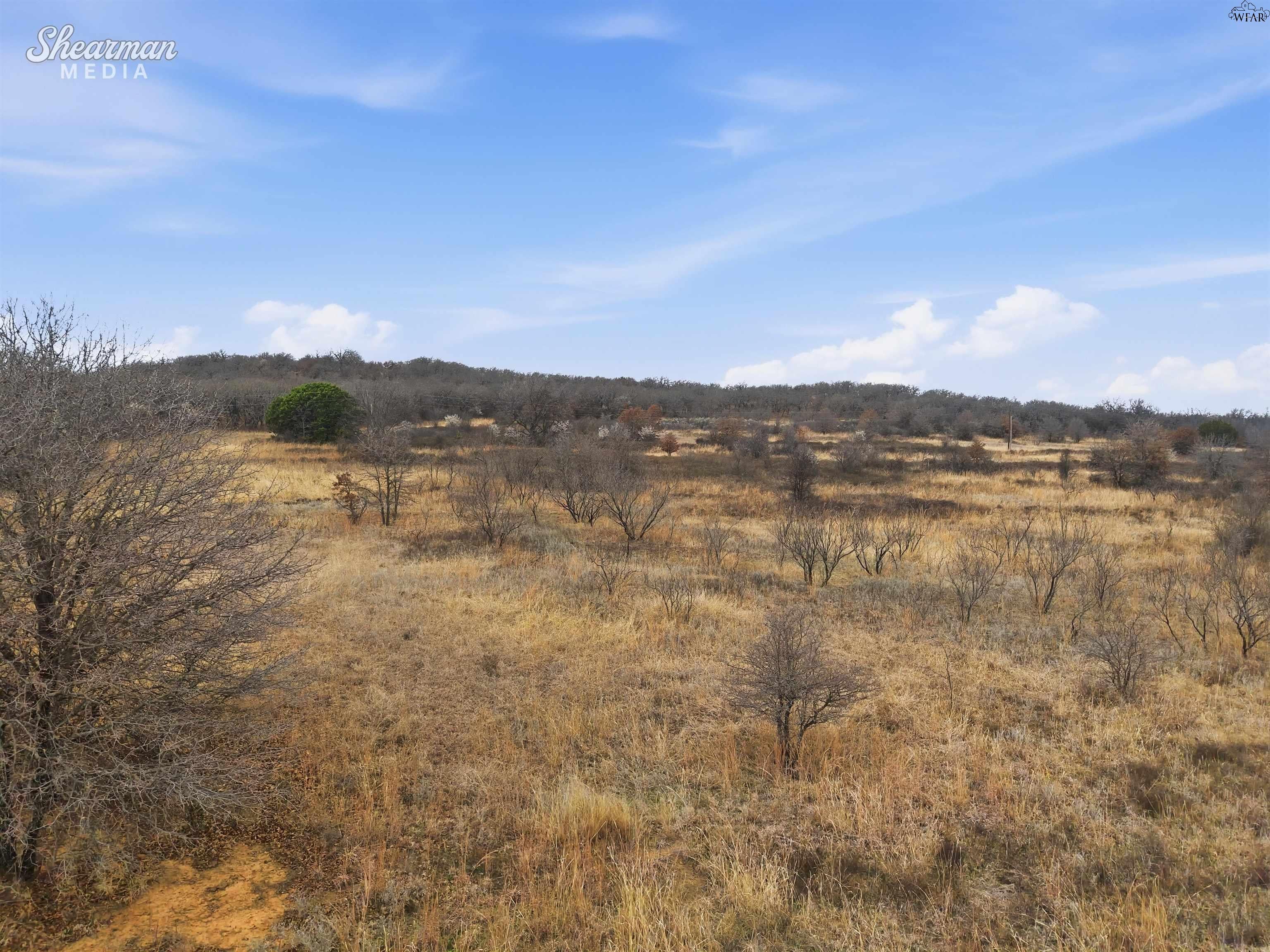 Tbd Reeves Road Jacksboro, TX 76458 - Photo 16 of 24 Gallery Image 16