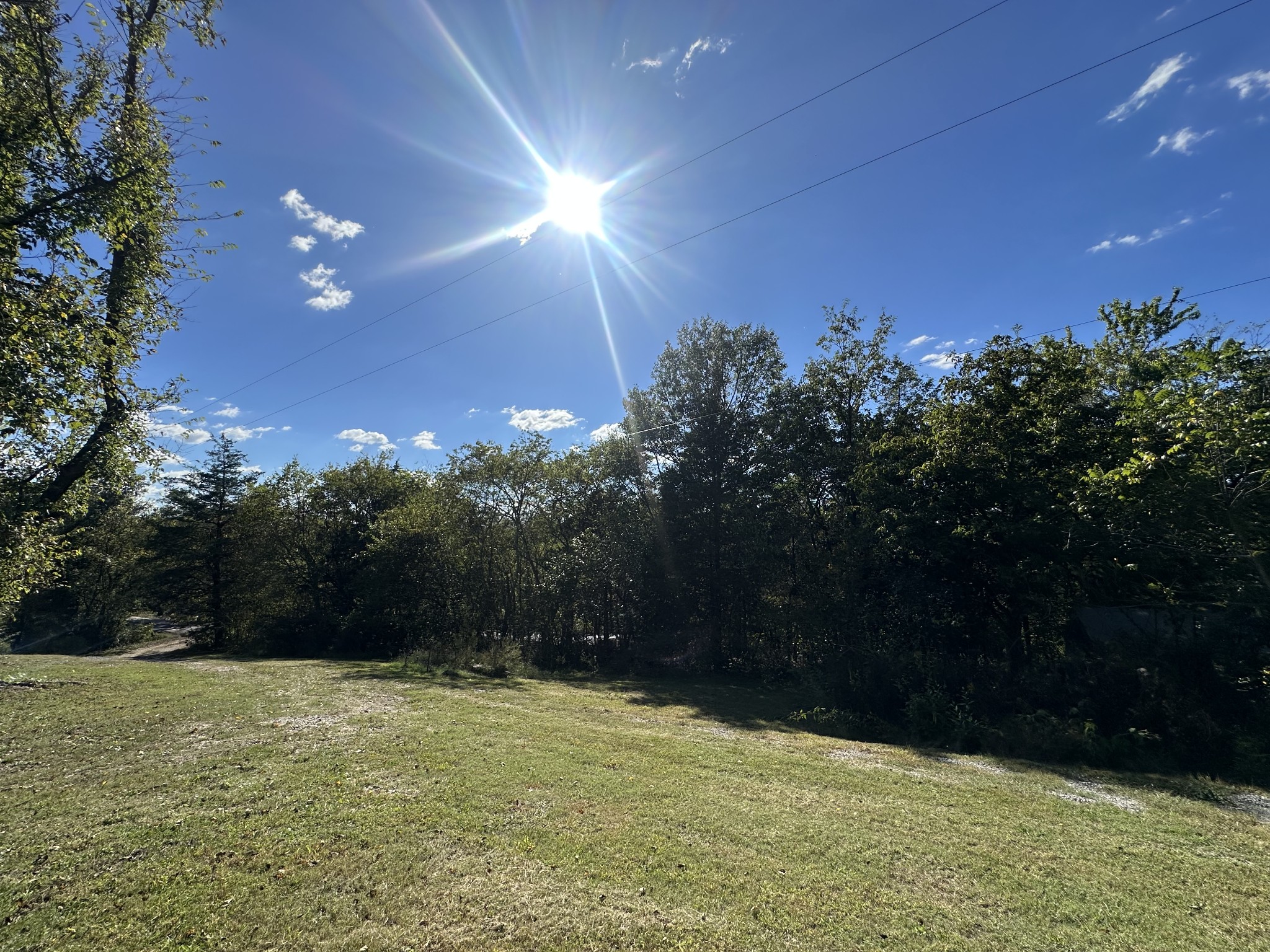 a backyard of a house with lots of green space and trees