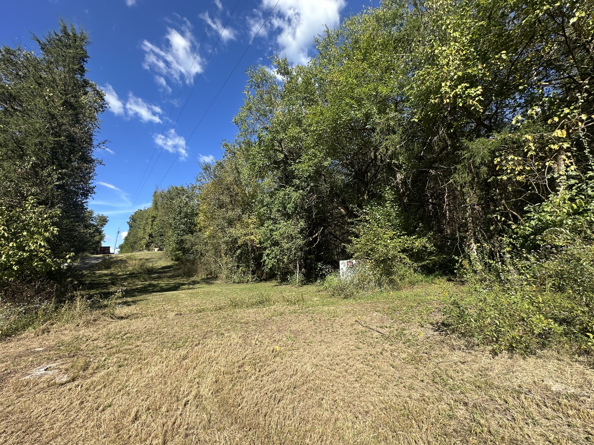 4444 Liberty Valley Road Petersburg, TN 37144 - Photo 2 of 10 a view of a yard with trees