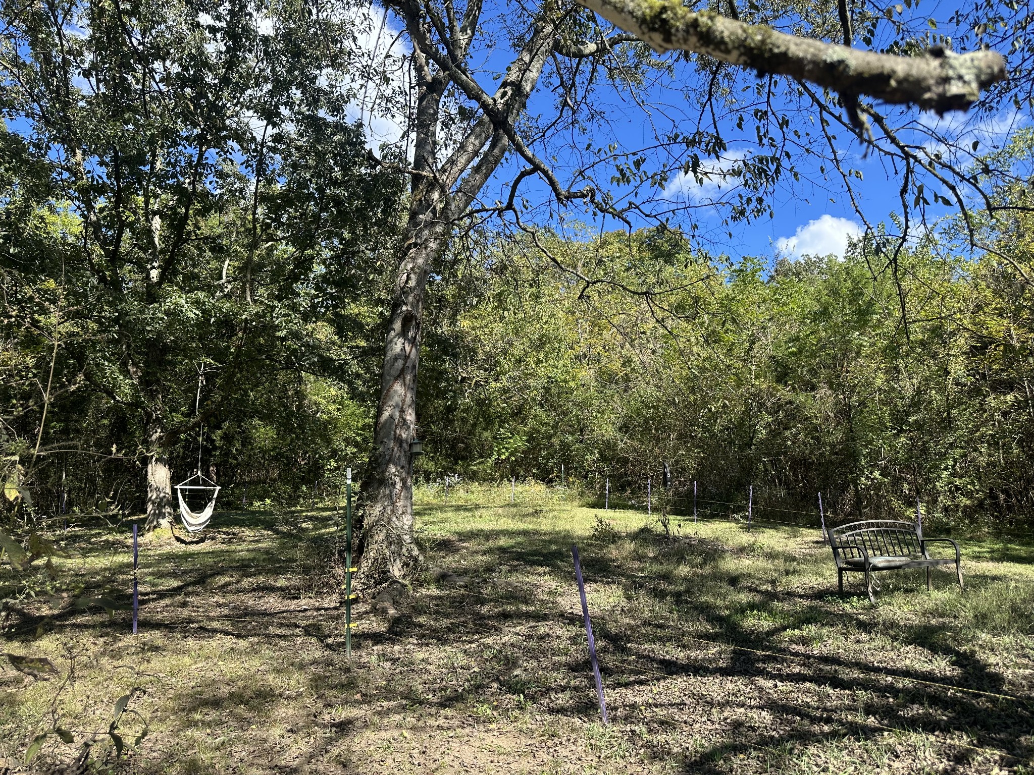 4444 Liberty Valley Road Petersburg, TN 37144 - Photo 5 of 10 a view of a yard with wooden fence