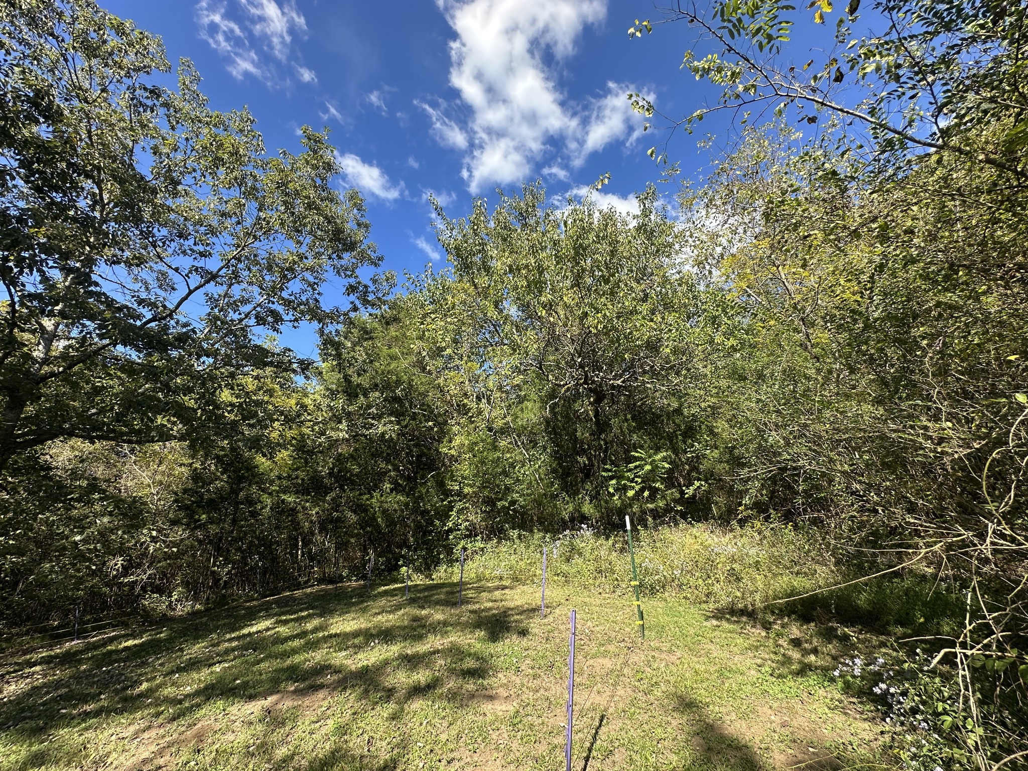 4444 Liberty Valley Road Petersburg, TN 37144 - Photo 6 of 10 a view of a yard