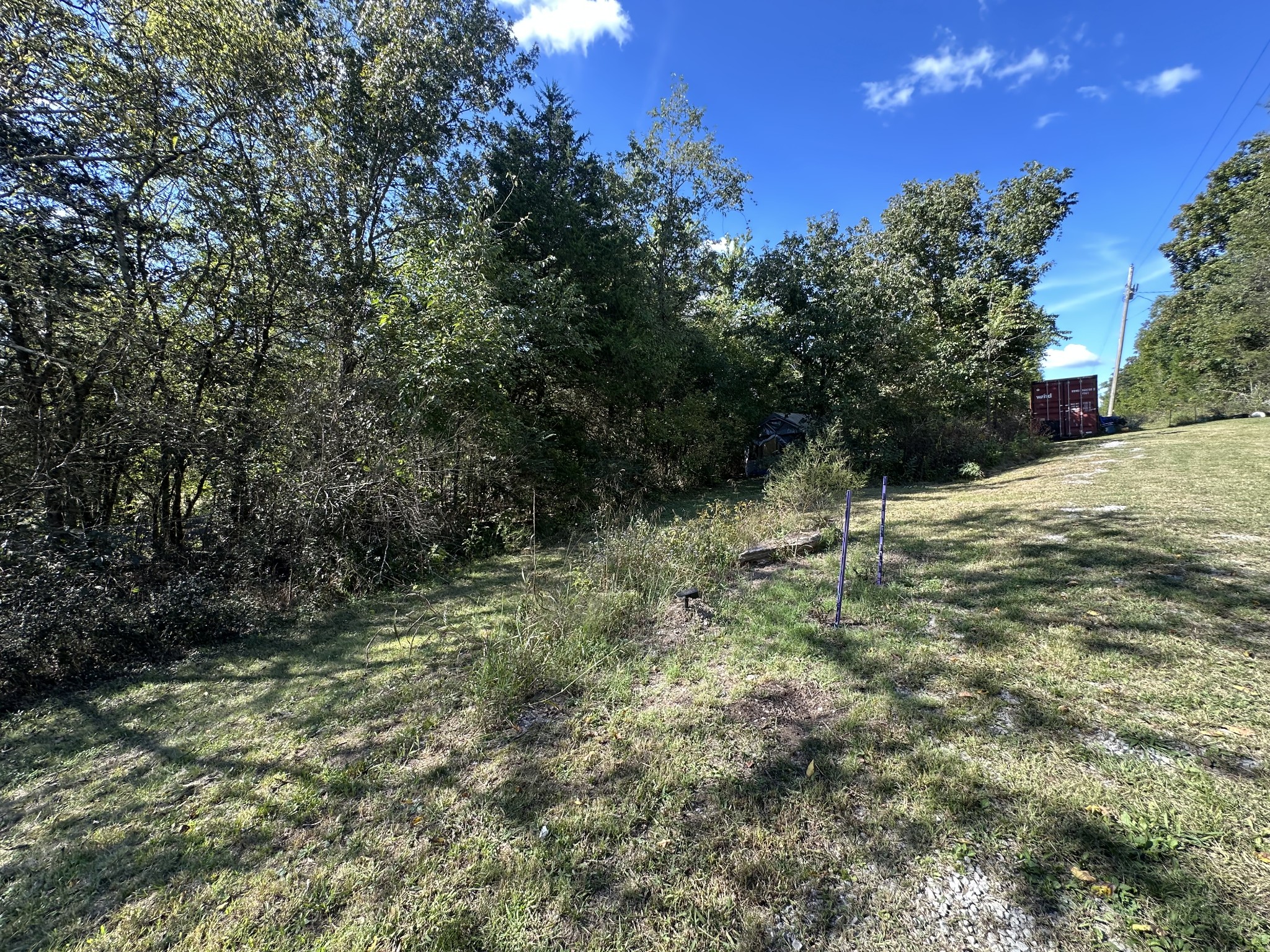 4444 Liberty Valley Road Petersburg, TN 37144 - Photo 8 of 10 a view of a forest with trees in the background