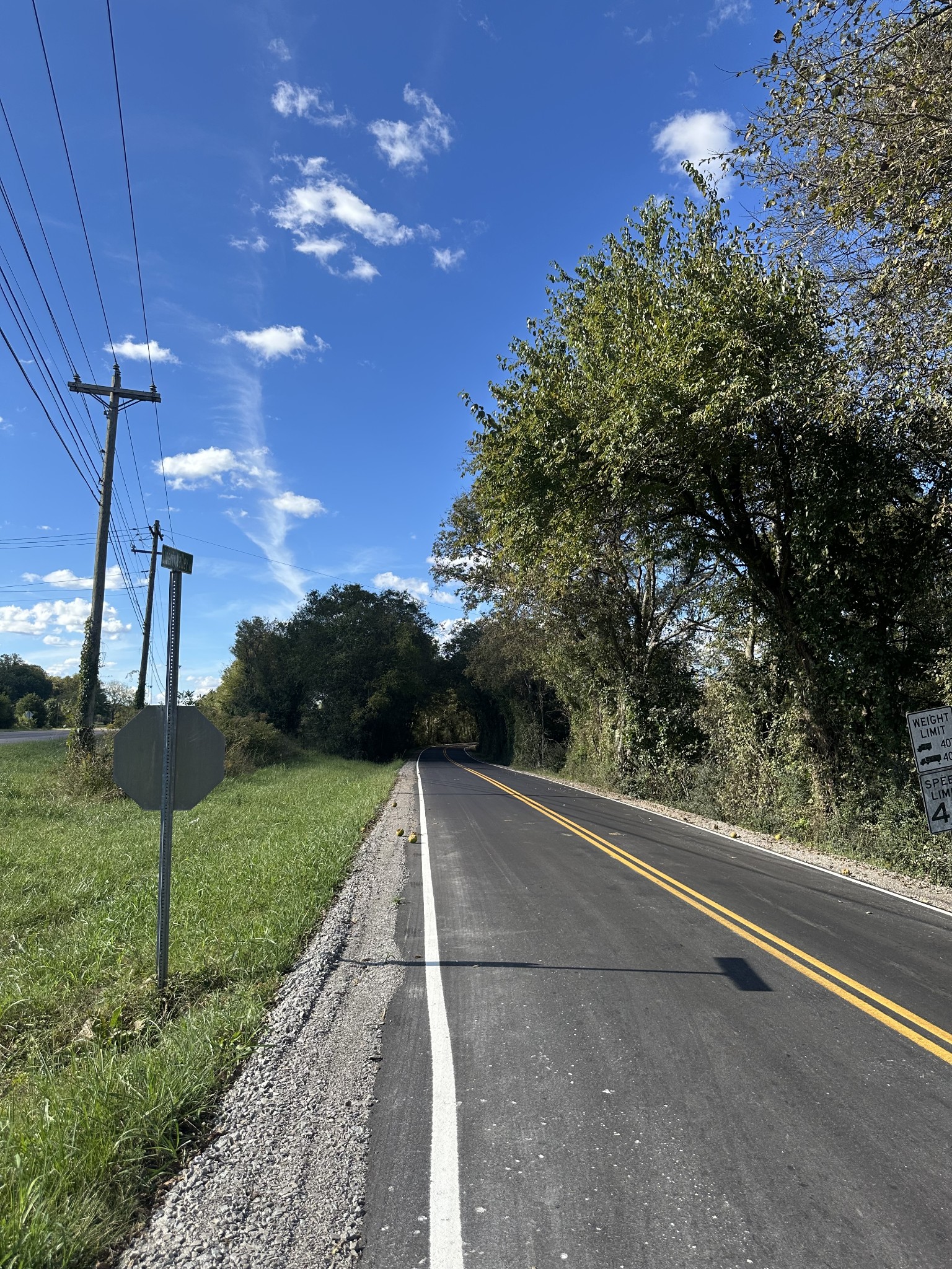 4444 Liberty Valley Road Petersburg, TN 37144 - Photo 9 of 10 a view of a yard with entertaining space