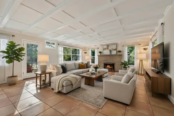 a living room with furniture a fireplace and a potted plant