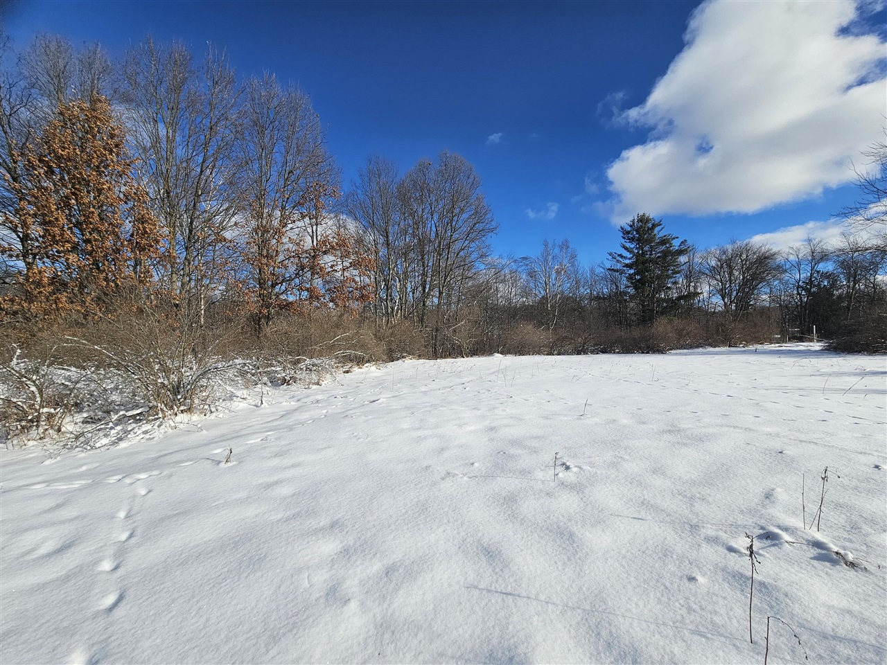0 120th Avenue Rodney, MI 49342 - Photo 2 of 12