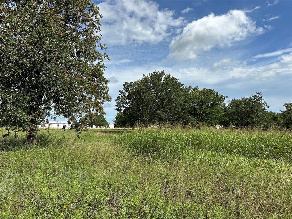 570 Big Salty Lane Springtown, TX 76082 - Photo 21 of 36 Expansive open land featuring diverse natural grasses and mature trees