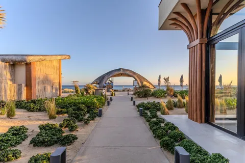 a view of a garden with a lot of flower plants and wooden fence