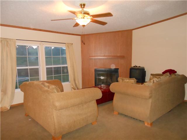 10118 Rocky Point Road Bon Aqua, TN 37025 - Photo 3 of 14
