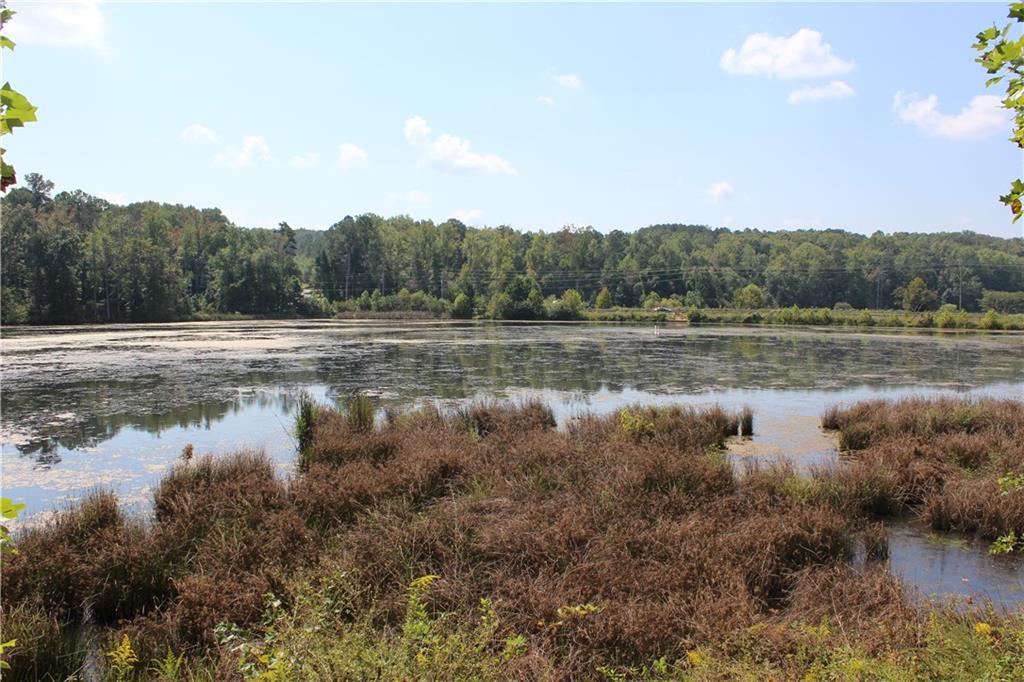 236 Augusta Walk Canton, GA 30114 - Photo 18 of 42