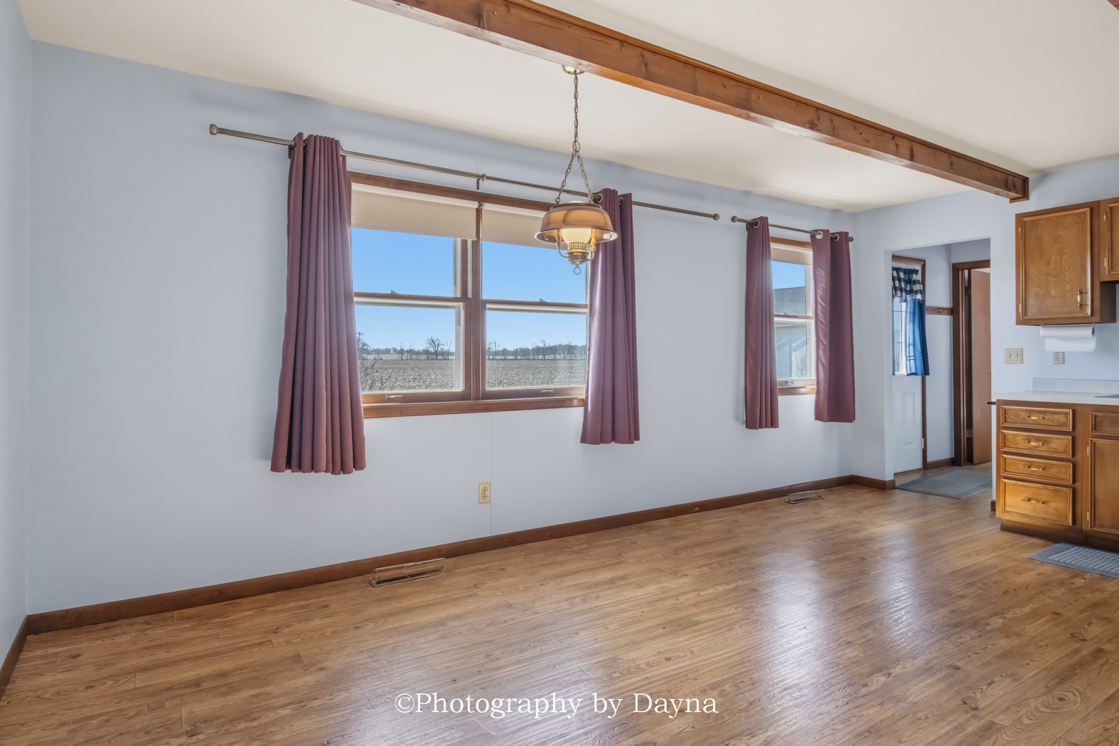 7302 East 3500S Road St. Anne, IL 60964 - Photo 6 of 26