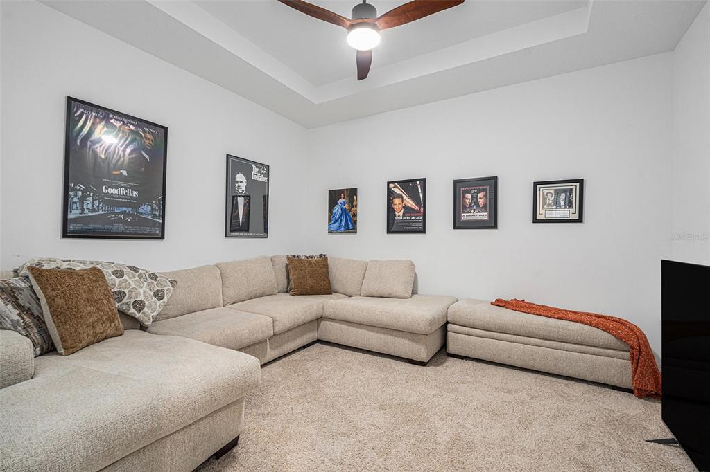 33774 Castaway Loop Wesley Chapel, FL 33543 - Photo 56 of 87
