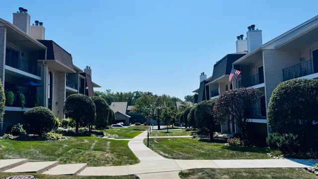 a view of a park with plants and trees
