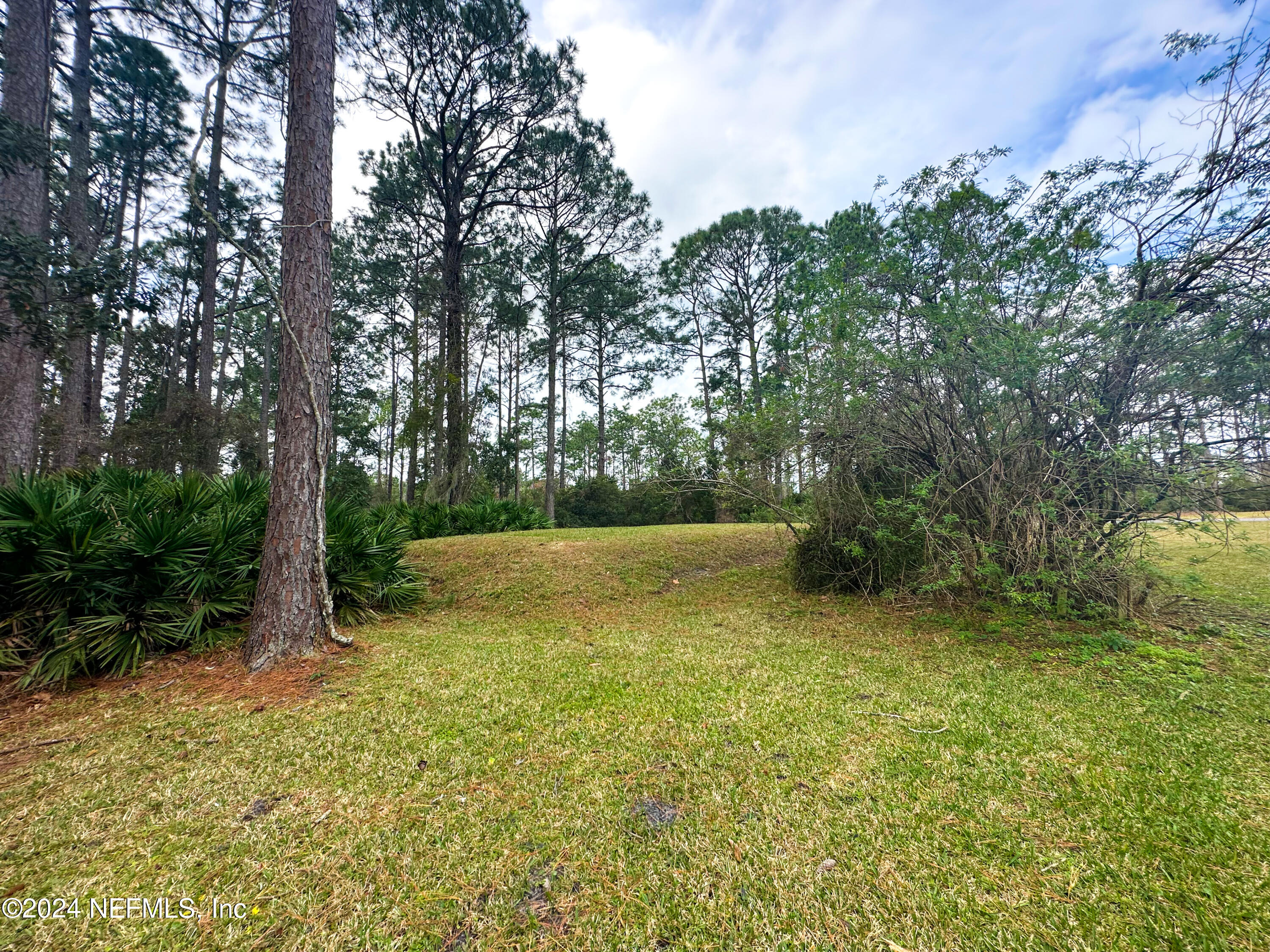 10601 Quail Ridge Drive Ponte Vedra, FL 32081 - Photo 7 of 17 a view of a backyard with large trees
