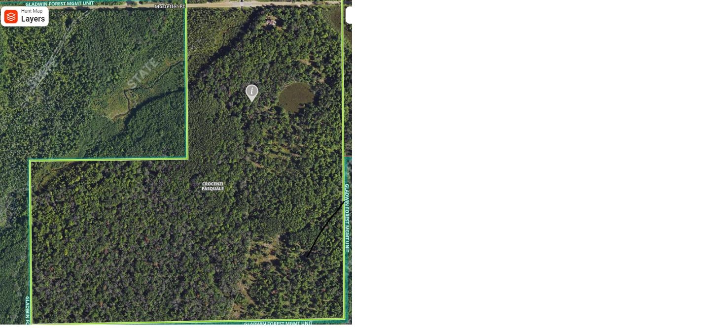 5630 Mostetler Road Harrison, MI 48625 - Photo 55 of 58