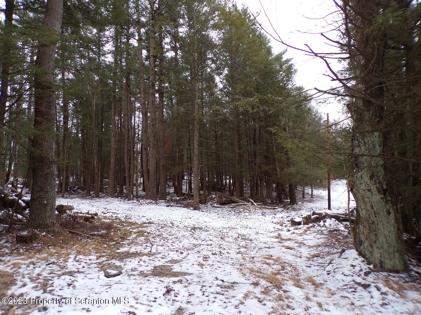 Wilber Road Hop Bottom, PA 18824 - Photo 3 of 12 a view of outdoor space with trees