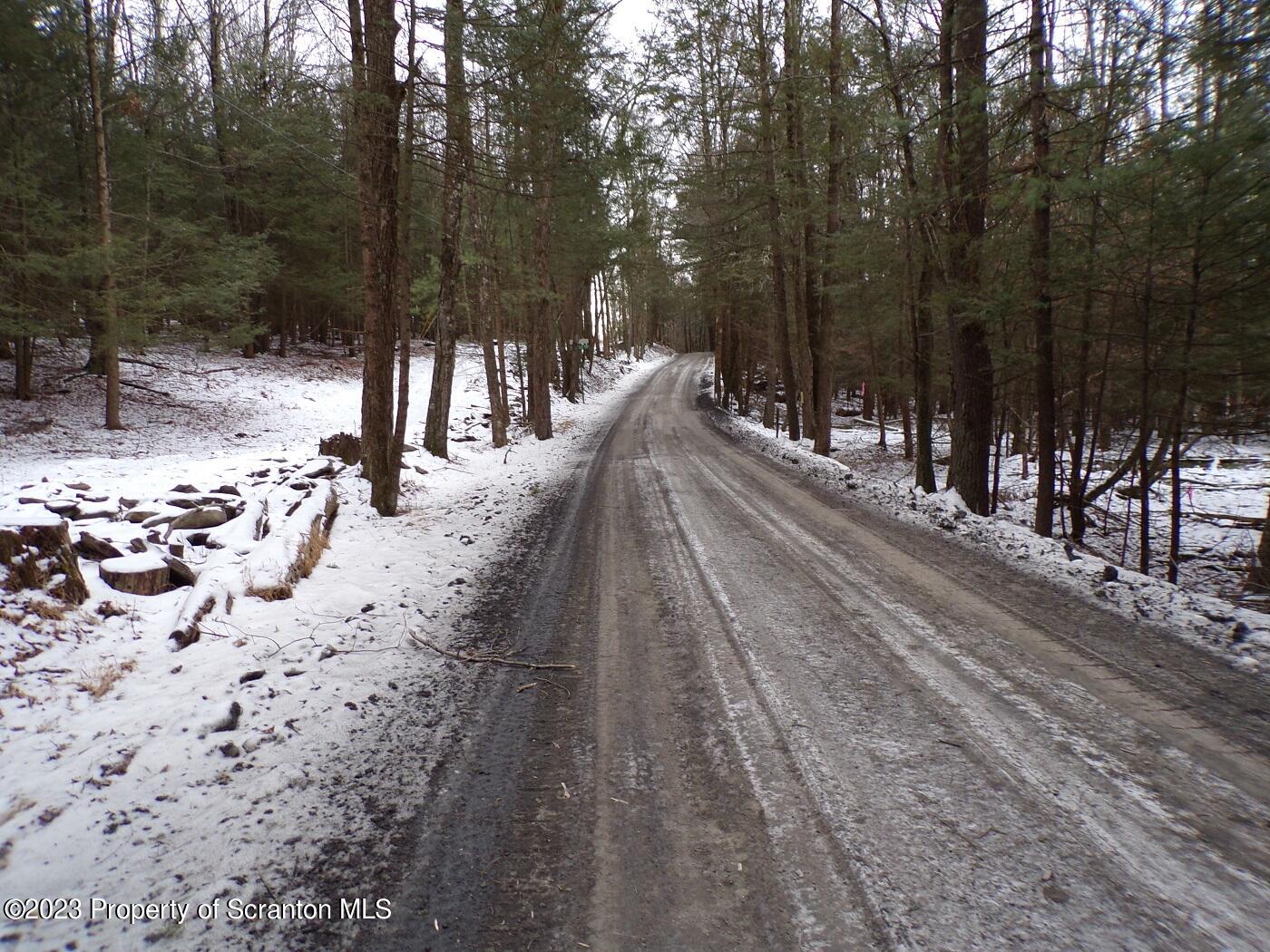 Wilber Road Hop Bottom, PA 18824 - Photo 6 of 12 a view of a pathway with a yard