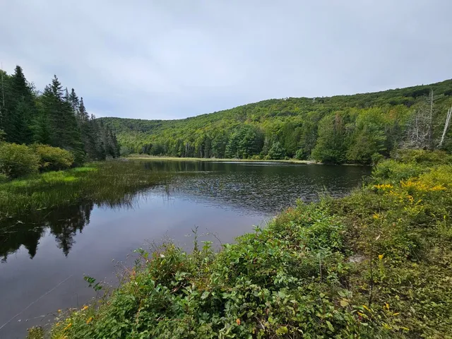 $975,000 | 5-1 Garland & Nason Hill Roads, Dixmont, ME 04932