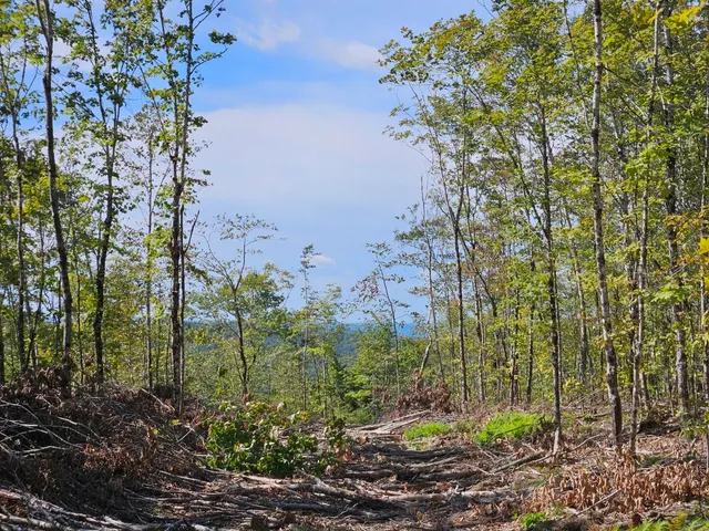 $975,000 | 5-1 Garland & Nason Hill Roads, Dixmont, ME 04932