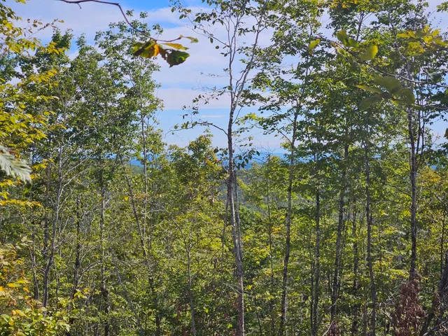 $975,000 | 5-1 Garland & Nason Hill Roads, Dixmont, ME 04932