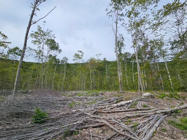 $975,000 | 5-1 Garland & Nason Hill Roads, Dixmont, ME 04932