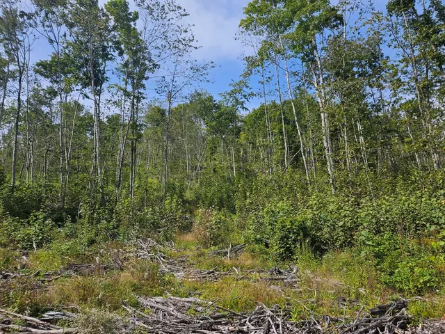 $975,000 | 5-1 Garland & Nason Hill Roads, Dixmont, ME 04932