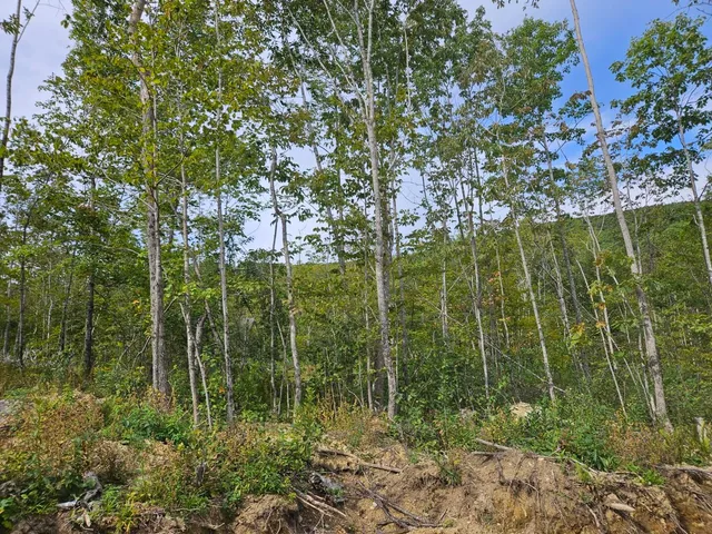 $975,000 | 5-1 Garland & Nason Hill Roads, Dixmont, ME 04932