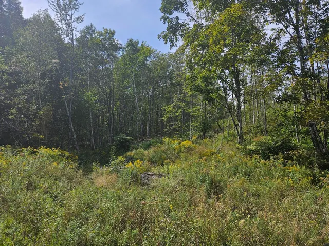 $975,000 | 5-1 Garland & Nason Hill Roads, Dixmont, ME 04932