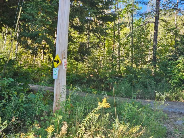 $975,000 | 5-1 Garland & Nason Hill Roads, Dixmont, ME 04932