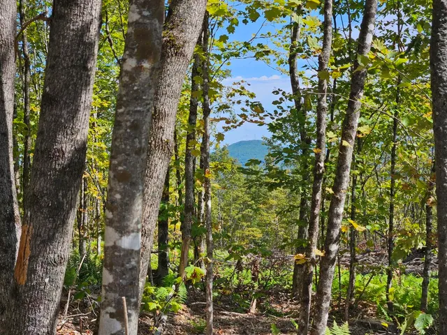 $975,000 | 5-1 Garland & Nason Hill Roads, Dixmont, ME 04932