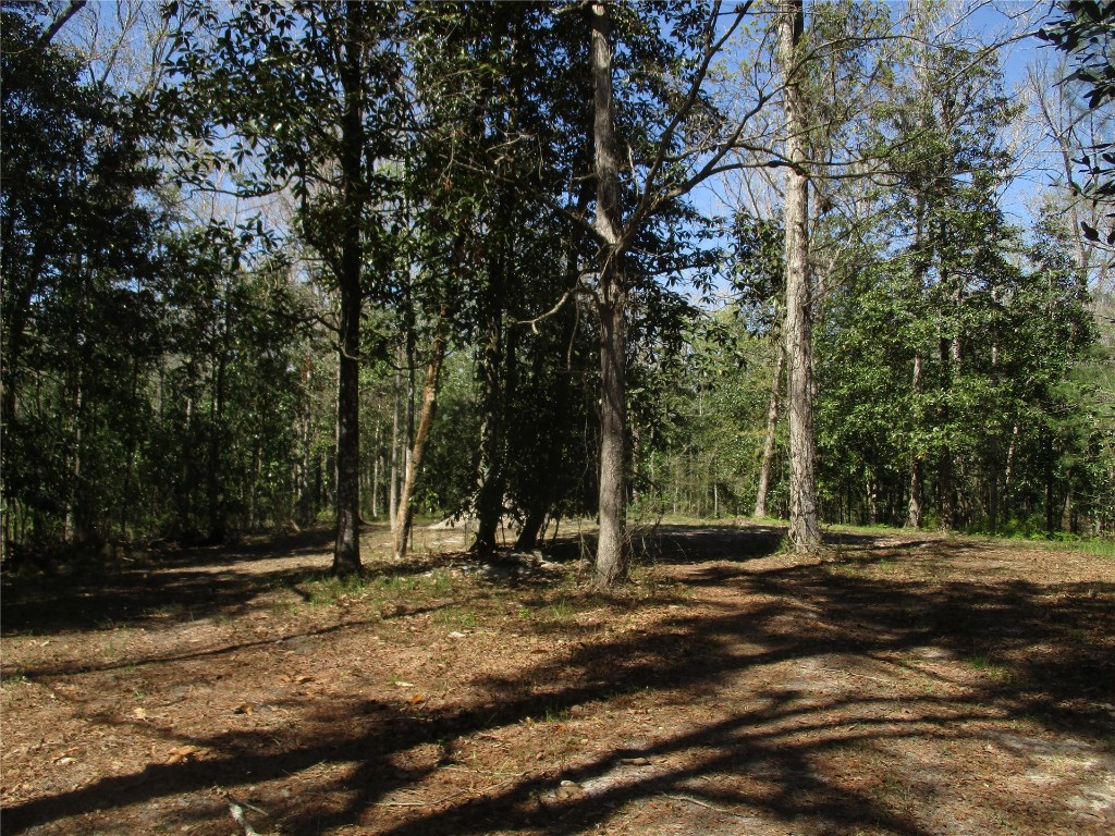 28727 Tracy Road Hilliard, FL 32046 - Photo 11 of 15