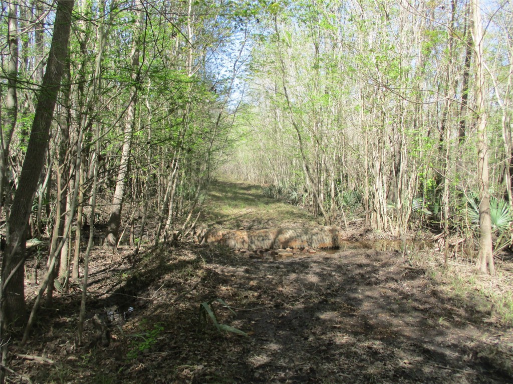 28727 Tracy Road Hilliard, FL 32046 - Photo 15 of 15