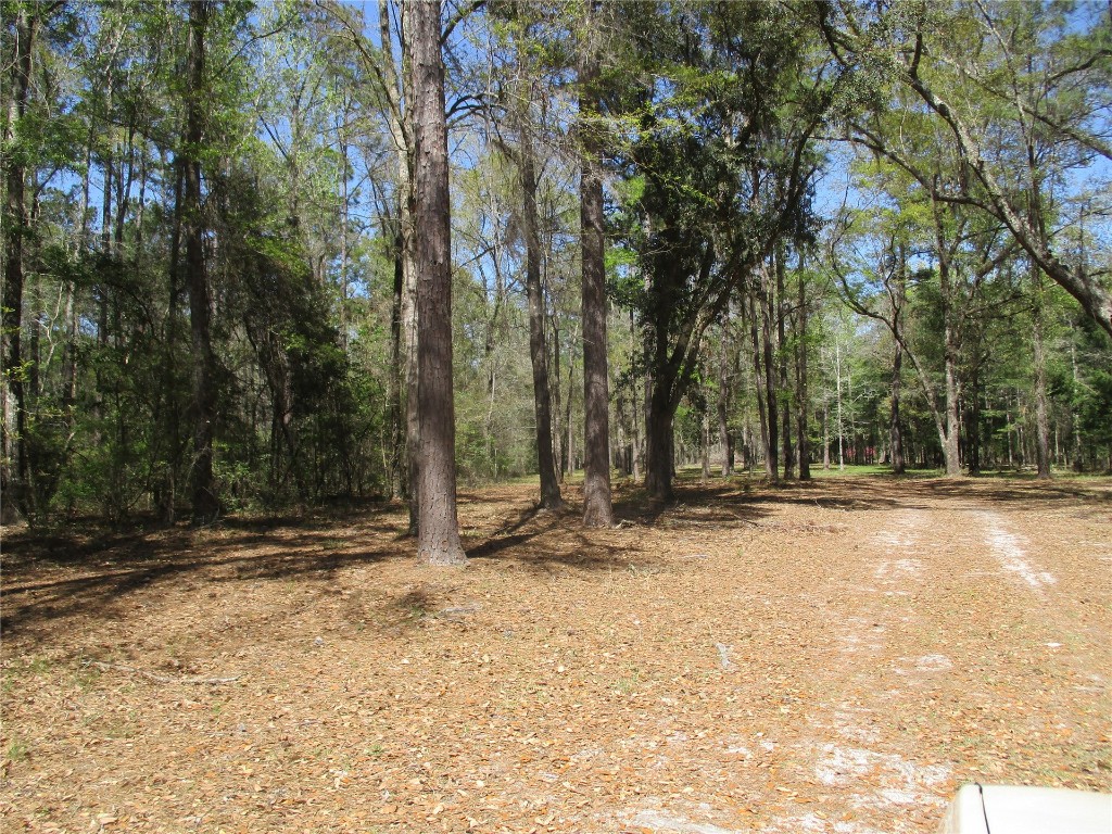 28727 Tracy Road Hilliard, FL 32046 - Photo 4 of 15