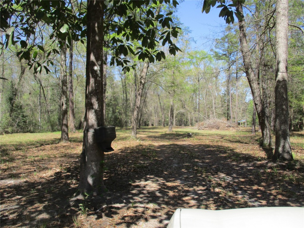 28727 Tracy Road Hilliard, FL 32046 - Photo 5 of 15