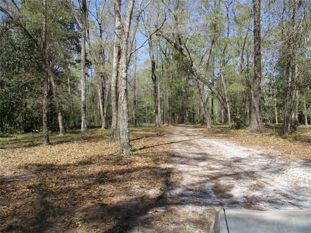 28727 Tracy Road Hilliard, FL 32046 - Photo 7 of 15