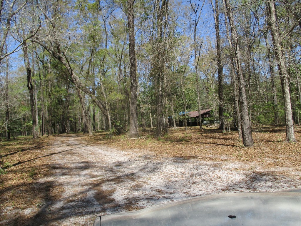 28727 Tracy Road Hilliard, FL 32046 - Photo 8 of 15