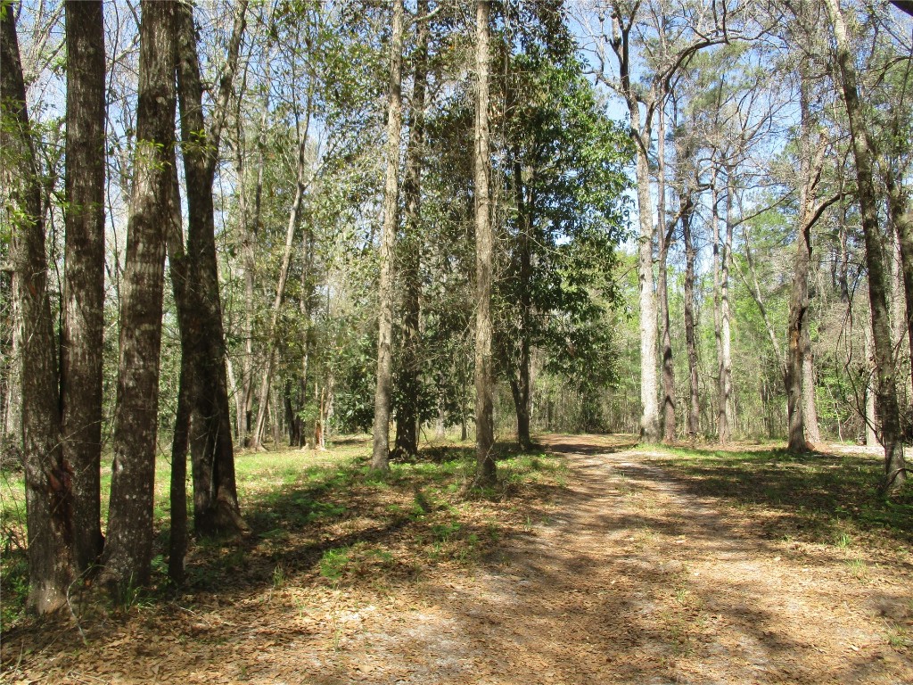 28727 Tracy Road Hilliard, FL 32046 - Photo 9 of 15