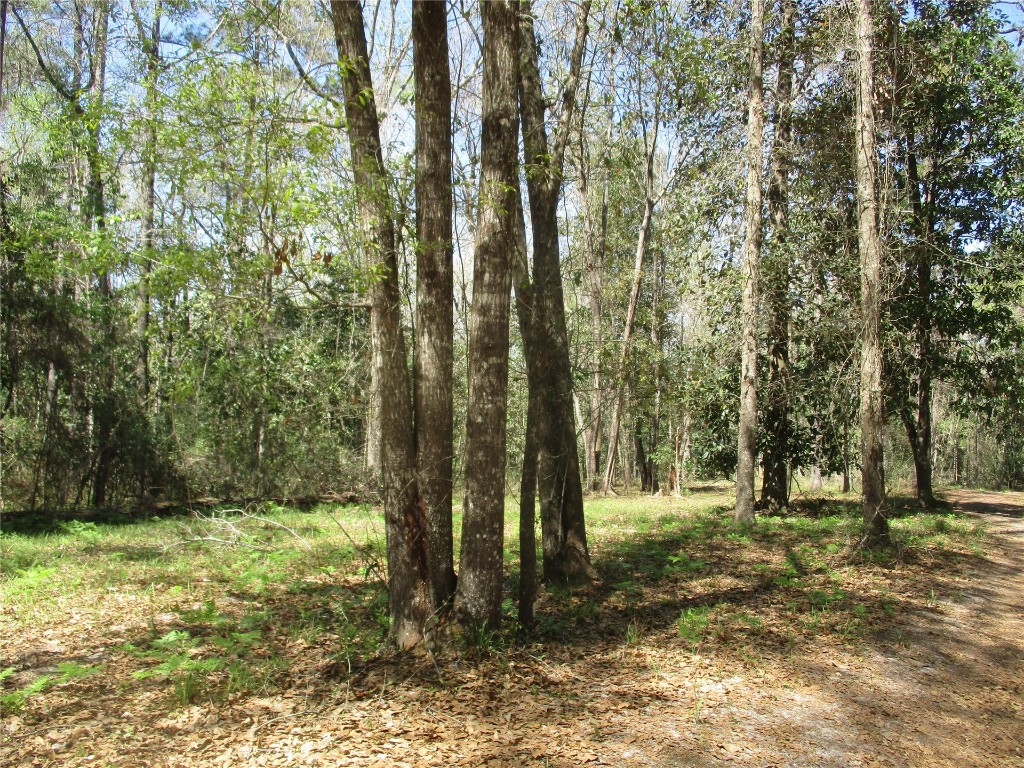 28727 Tracy Road Hilliard, FL 32046 - Photo 10 of 15