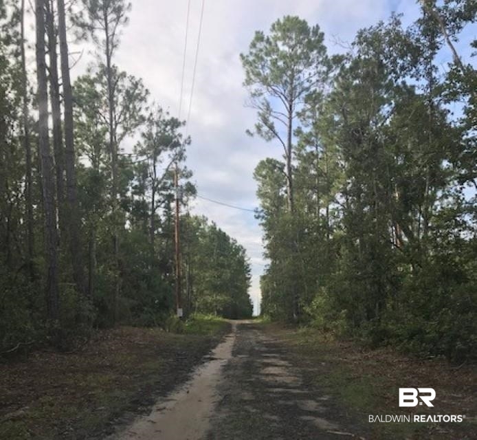 24263 A Woerner Road Elberta, AL 36530 - Photo 6 of 38