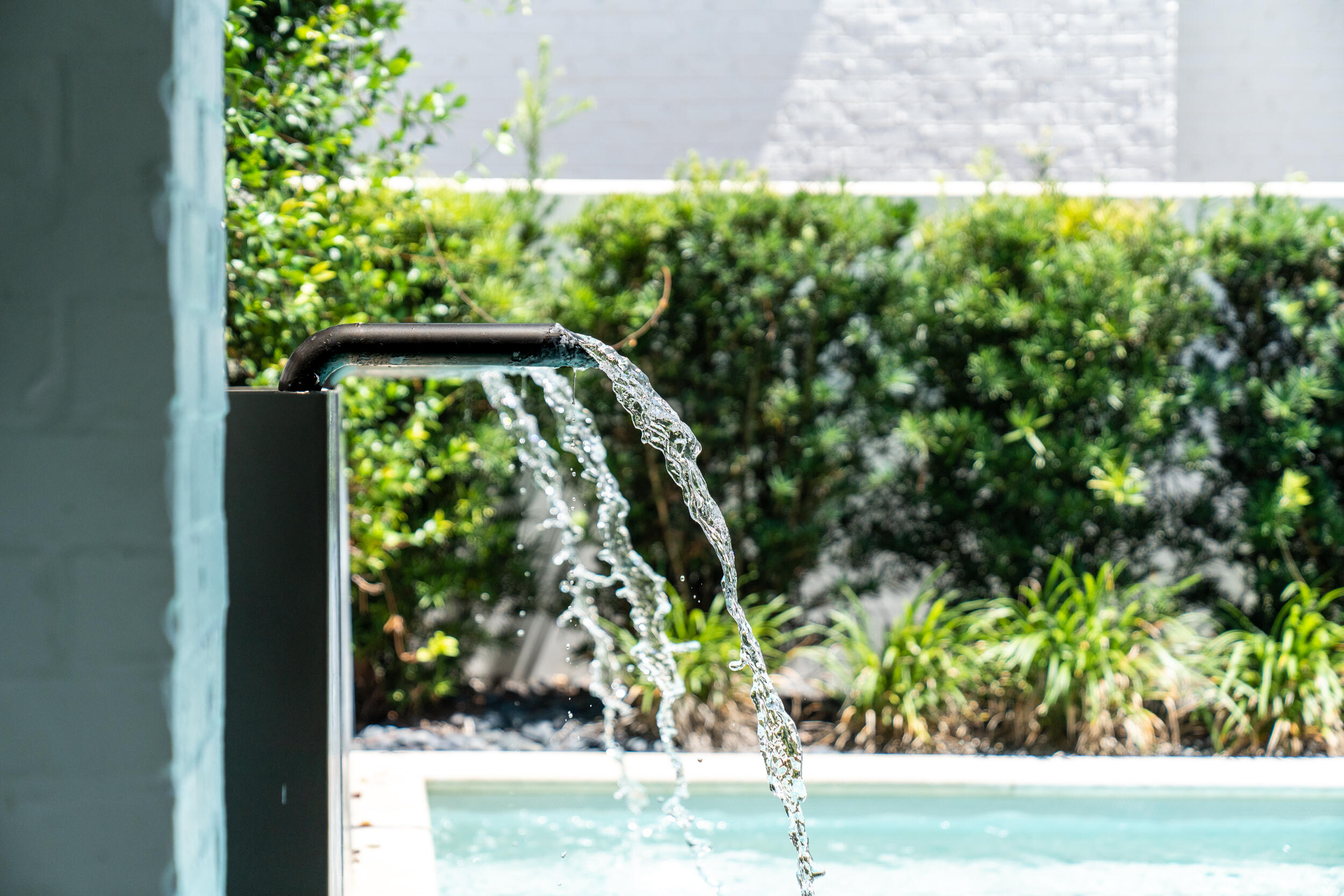 95 Tyler Santa Rosa Beach, FL 32459 - Photo 42 of 58 a view of a yard with plants