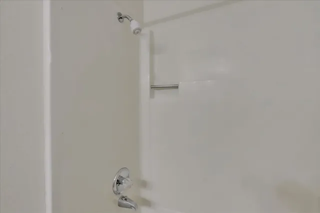 a big yard with lots of palm trees