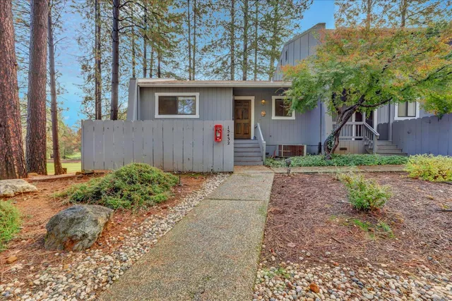 a view of a road with a tree in front of it