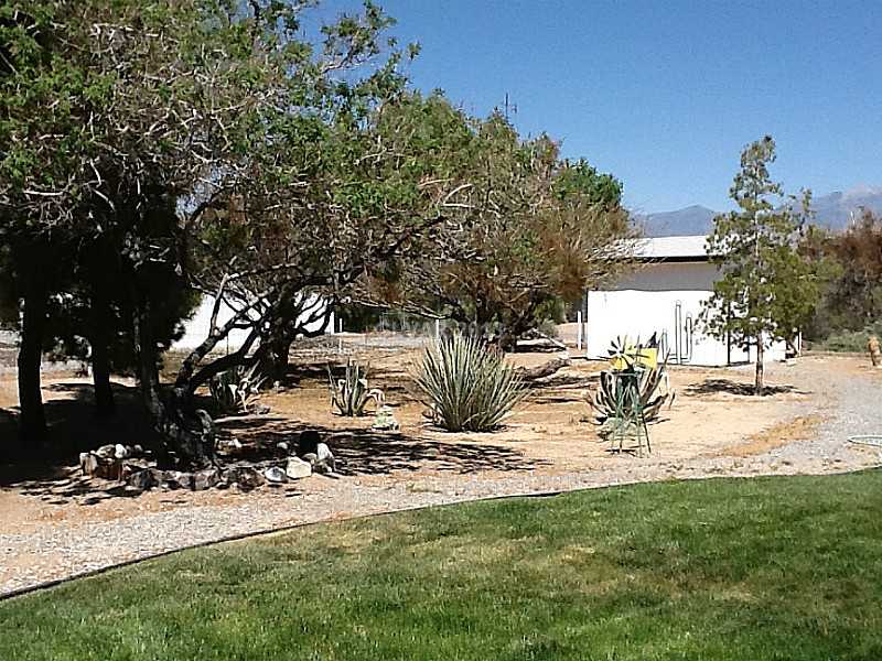 3361 South Blagg Road Pahrump, NV 89048 - Photo 7 of 27 Exterior Back. Back yard trees and pump house