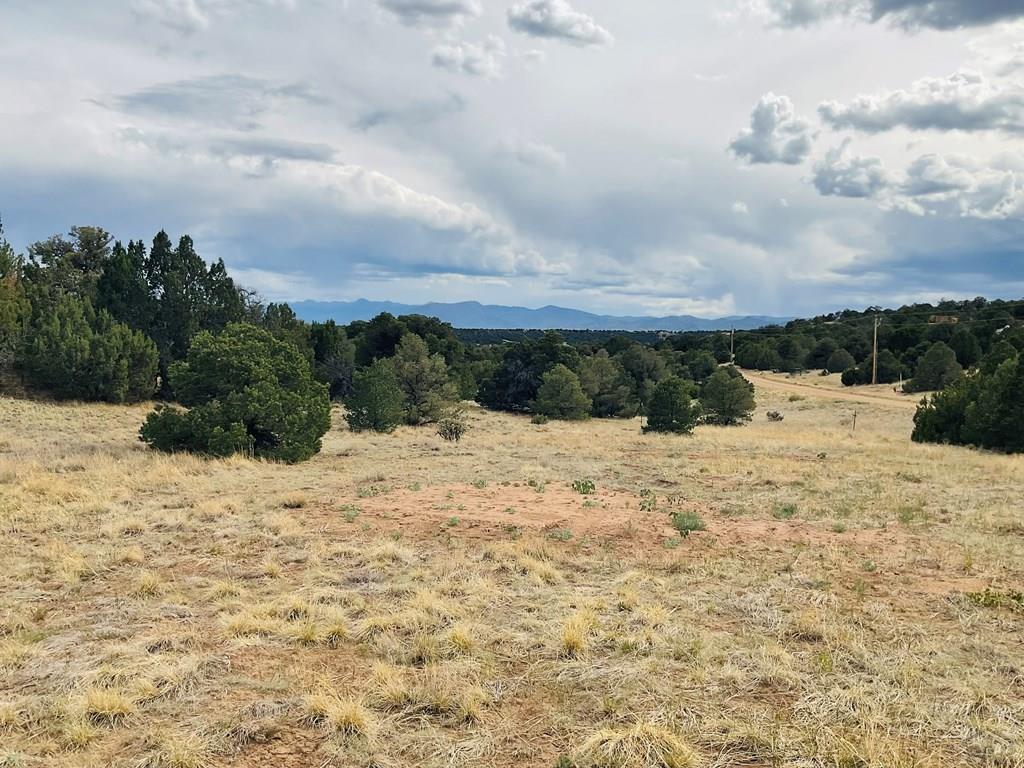 Lot 17 Navajo Ranch Walsenburg, CO 81089 - Photo 7 of 26 a view of lake view and mountain view