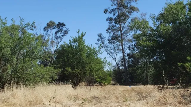 $2,200,000 | 10076 Florin Road, Sacramento, CA 95829