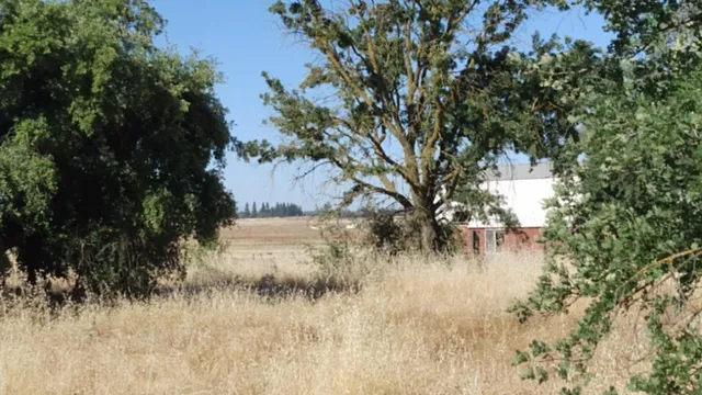 $2,200,000 | 10076 Florin Road, Sacramento, CA 95829