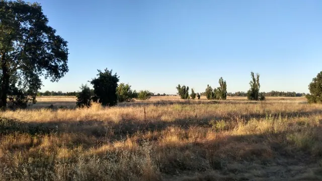 $2,200,000 | 10076 Florin Road, Sacramento, CA 95829