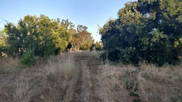 $2,200,000 | 10076 Florin Road, Sacramento, CA 95829