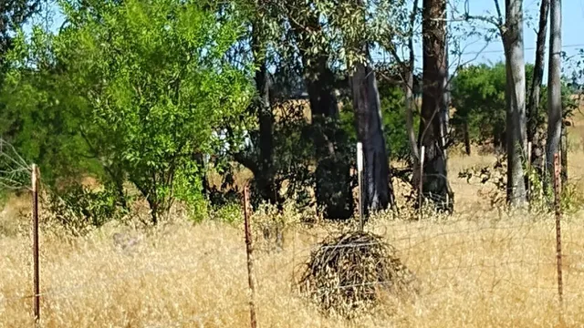 $2,200,000 | 10076 Florin Road, Sacramento, CA 95829