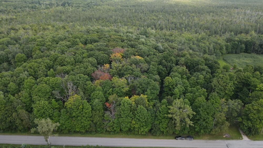 3305 South Coville Road Mikado, MI 48745 - Photo 14 of 47 Gallery Image 14