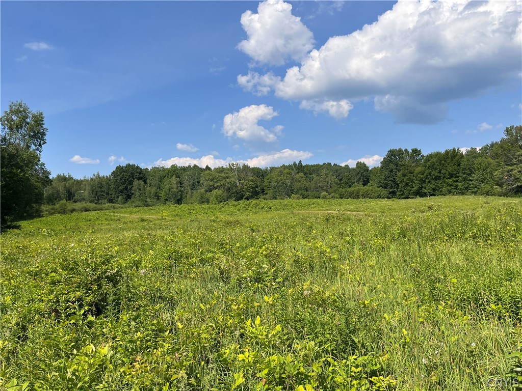 Center Road Lacona, NY 13083 - Photo 17 of 38